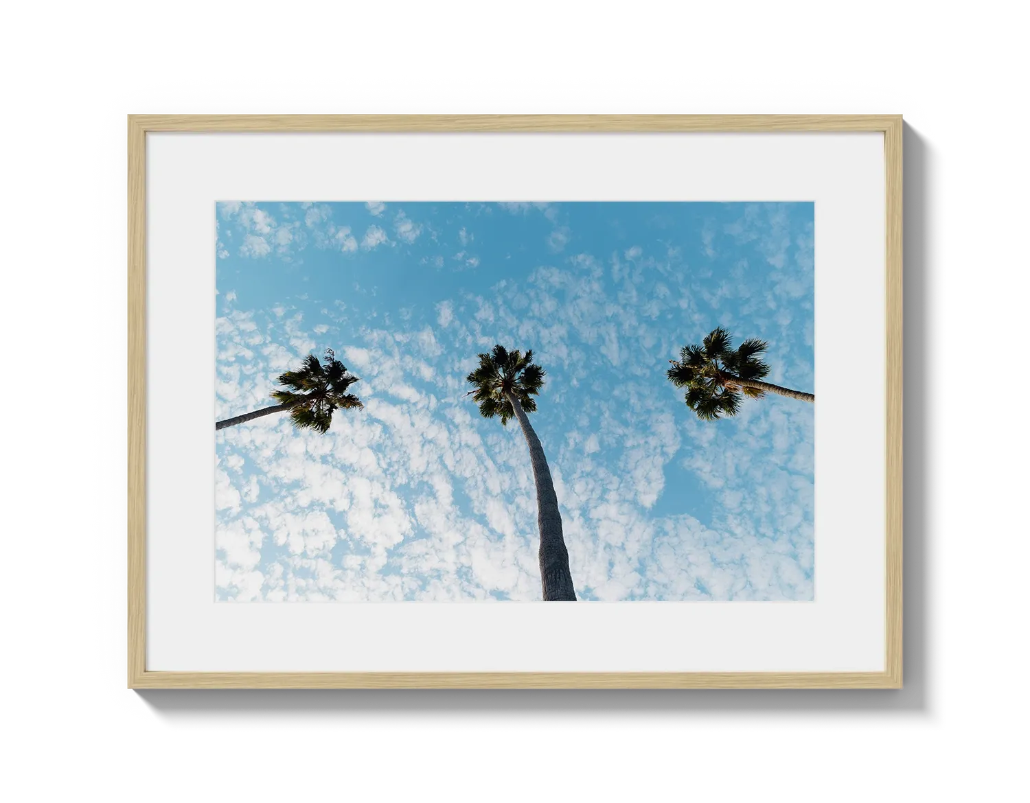 Three Palm Trees II