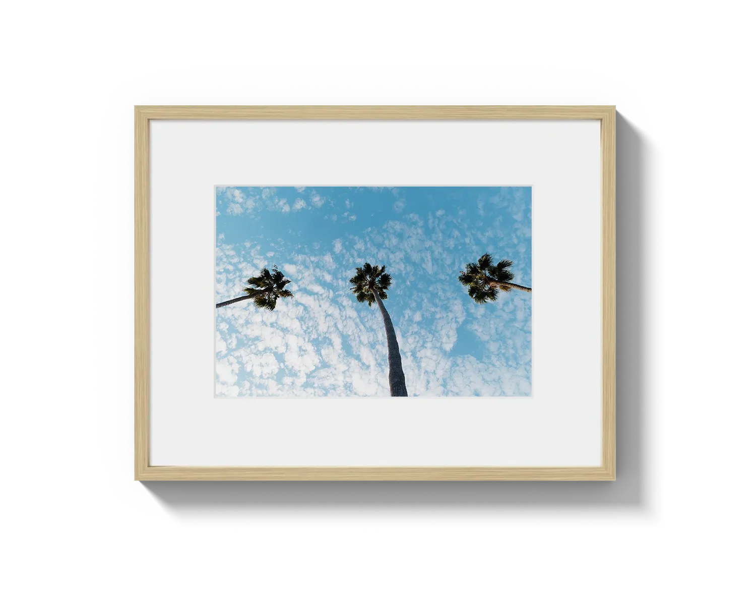 Three Palm Trees II