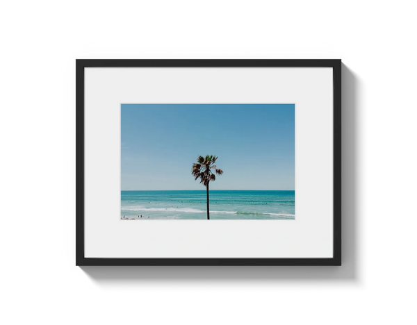 PB Palm Tree