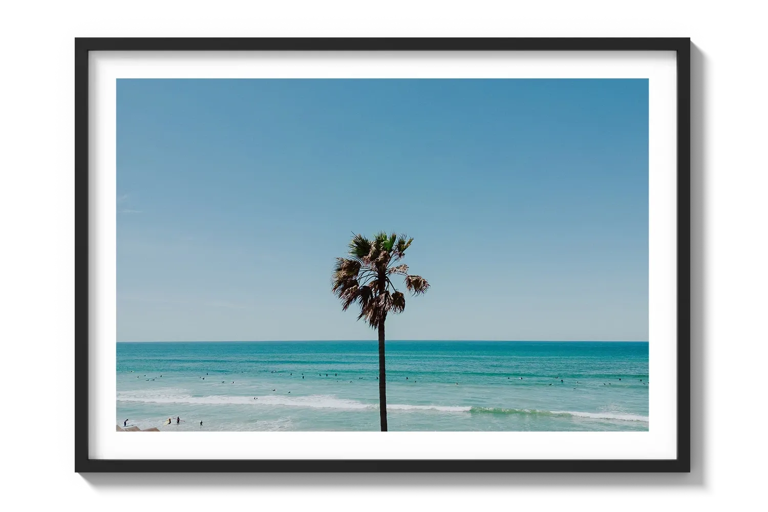 PB Palm Tree