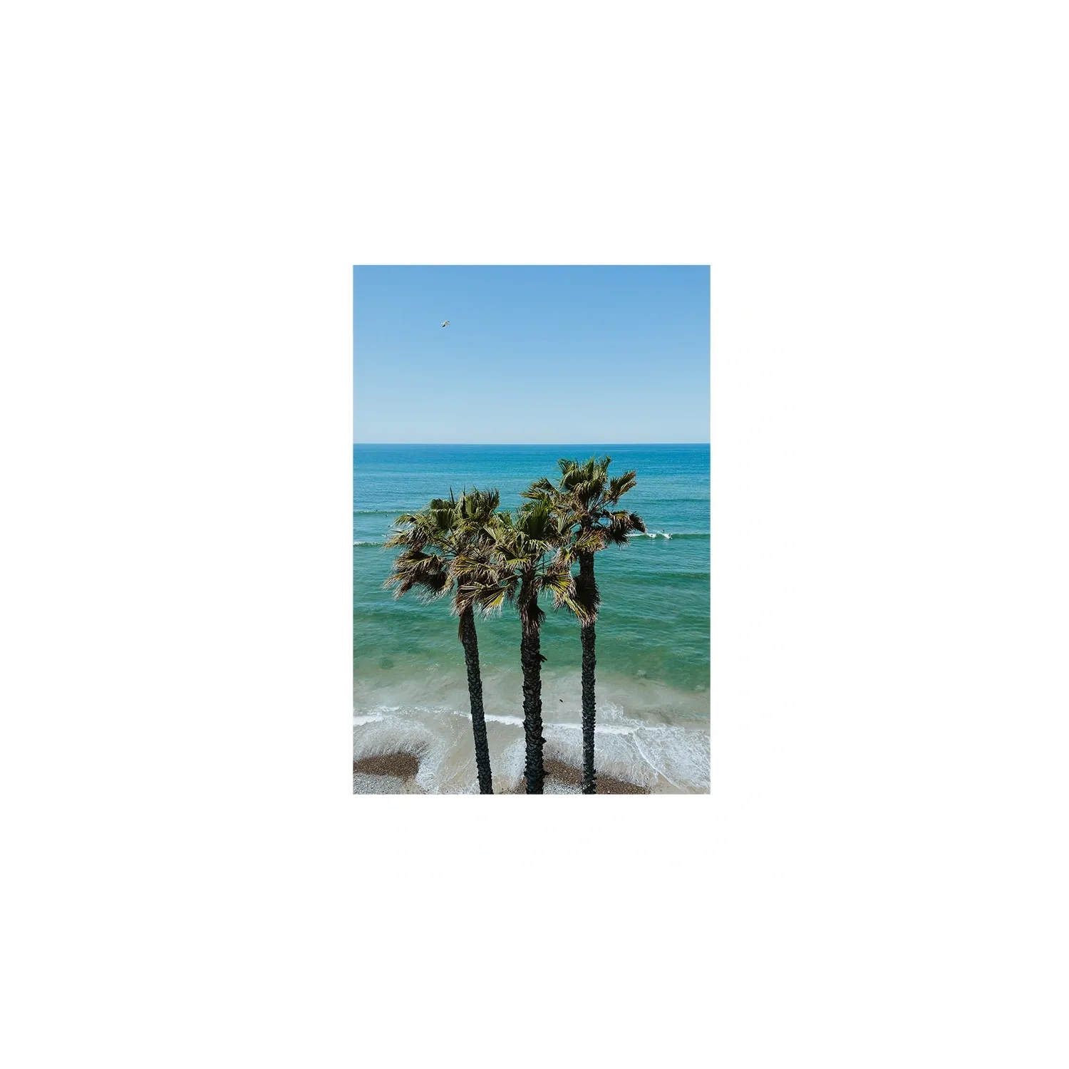 Three Palm Trees at the Beach