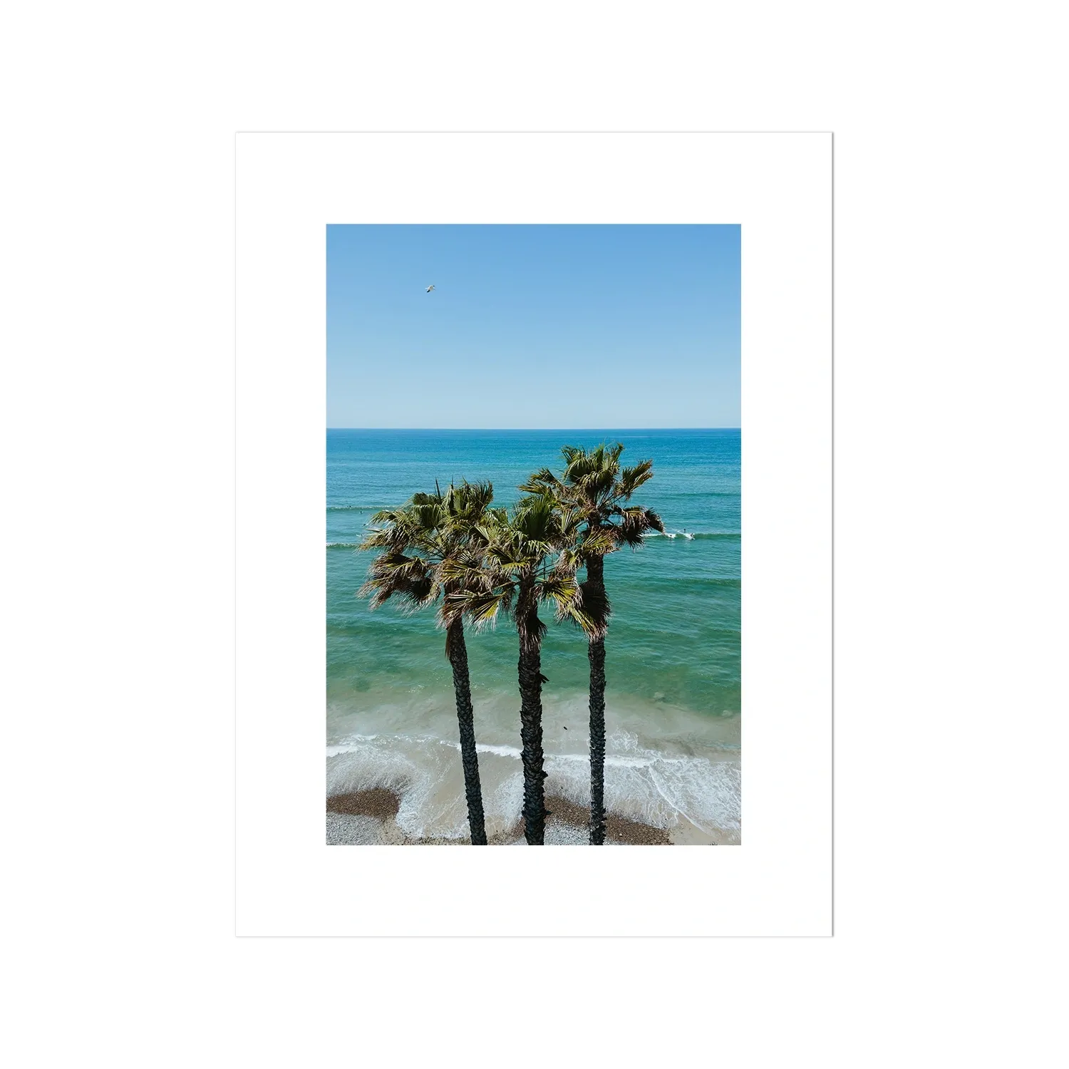 Three Palm Trees at the Beach