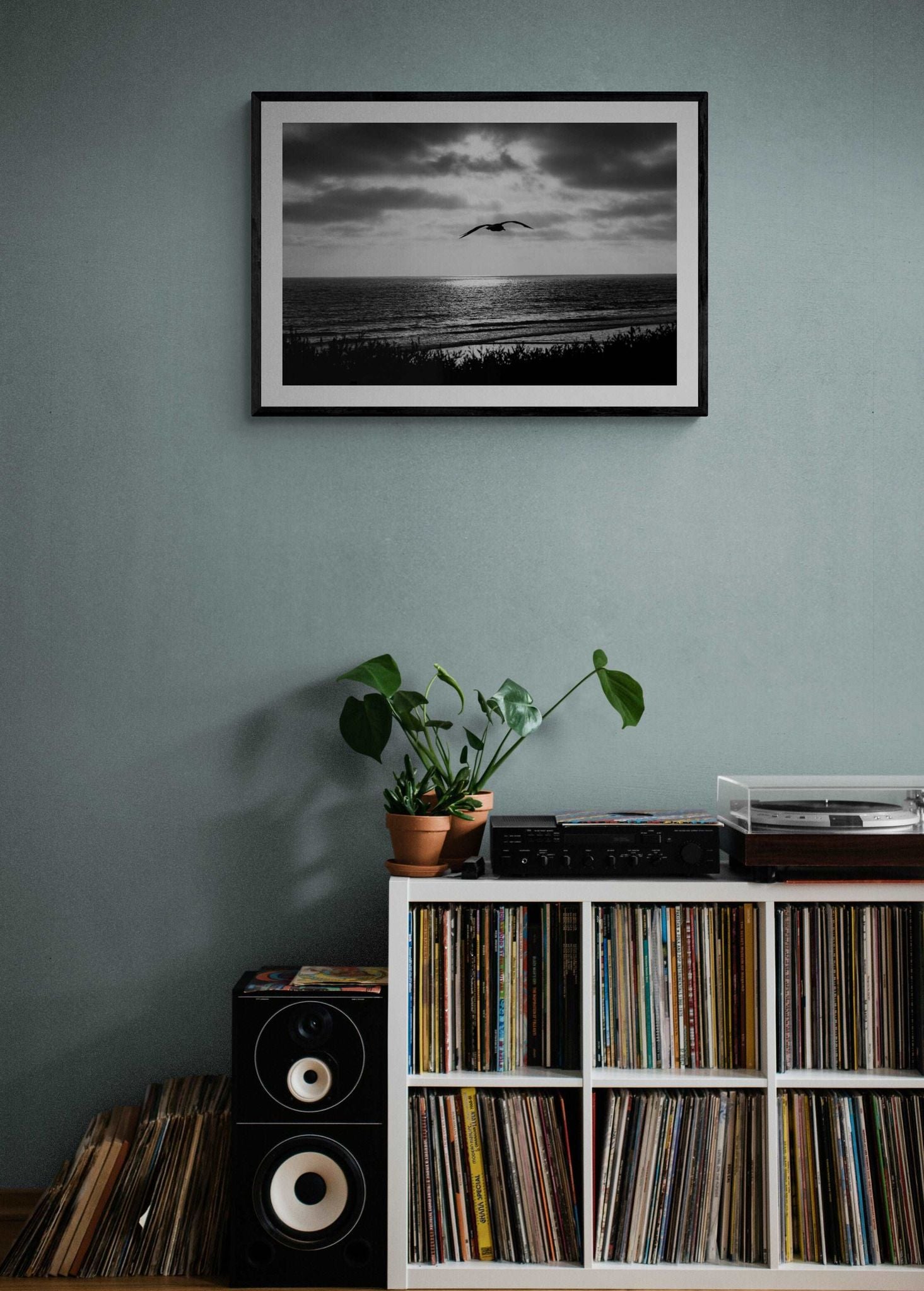 Bird Beach