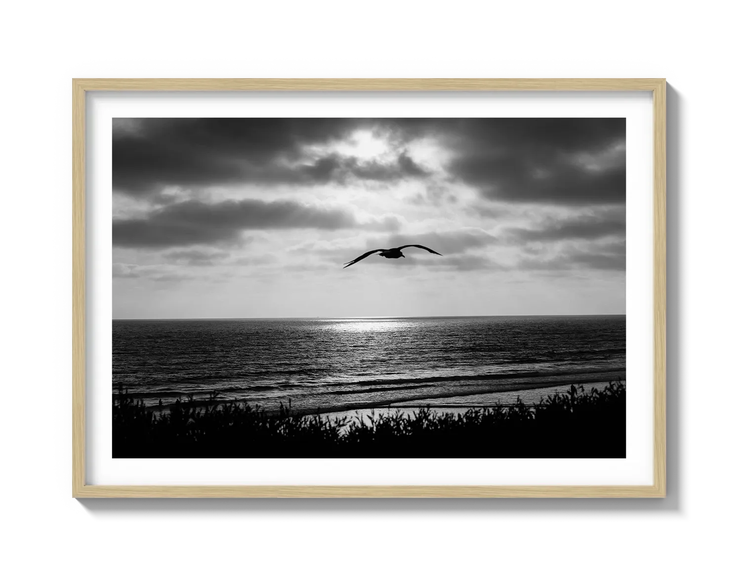 Bird Beach