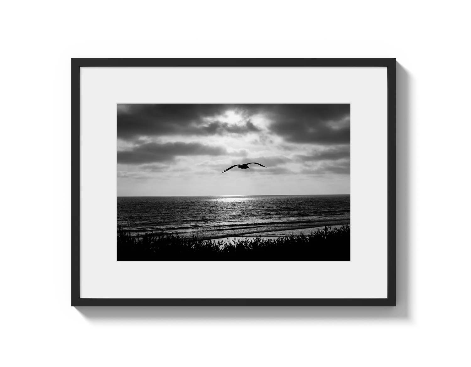 Bird Beach