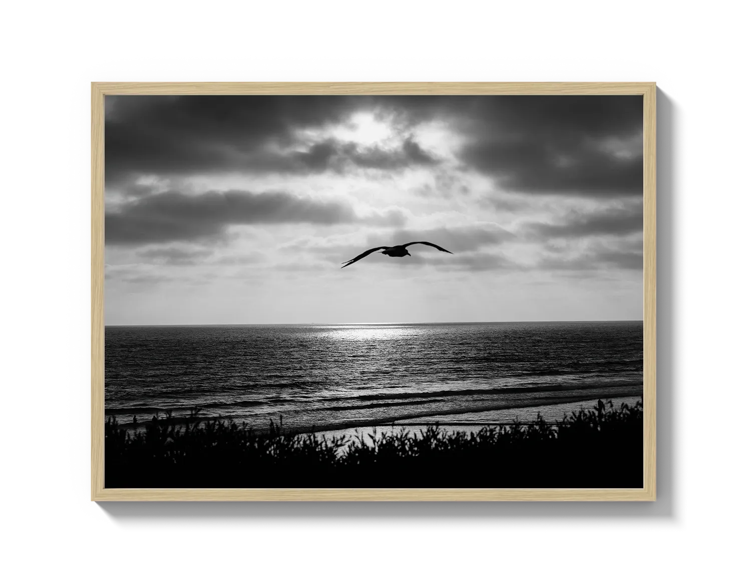 Bird Beach