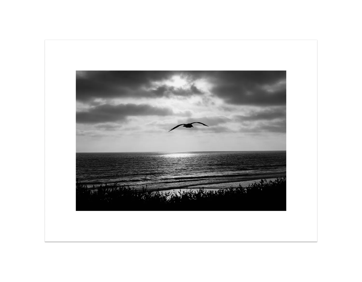 Bird Beach