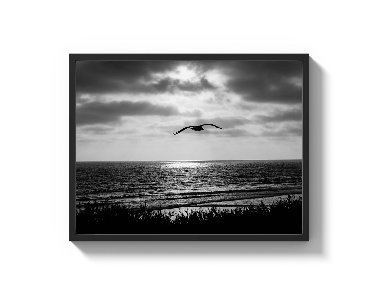 Bird Beach