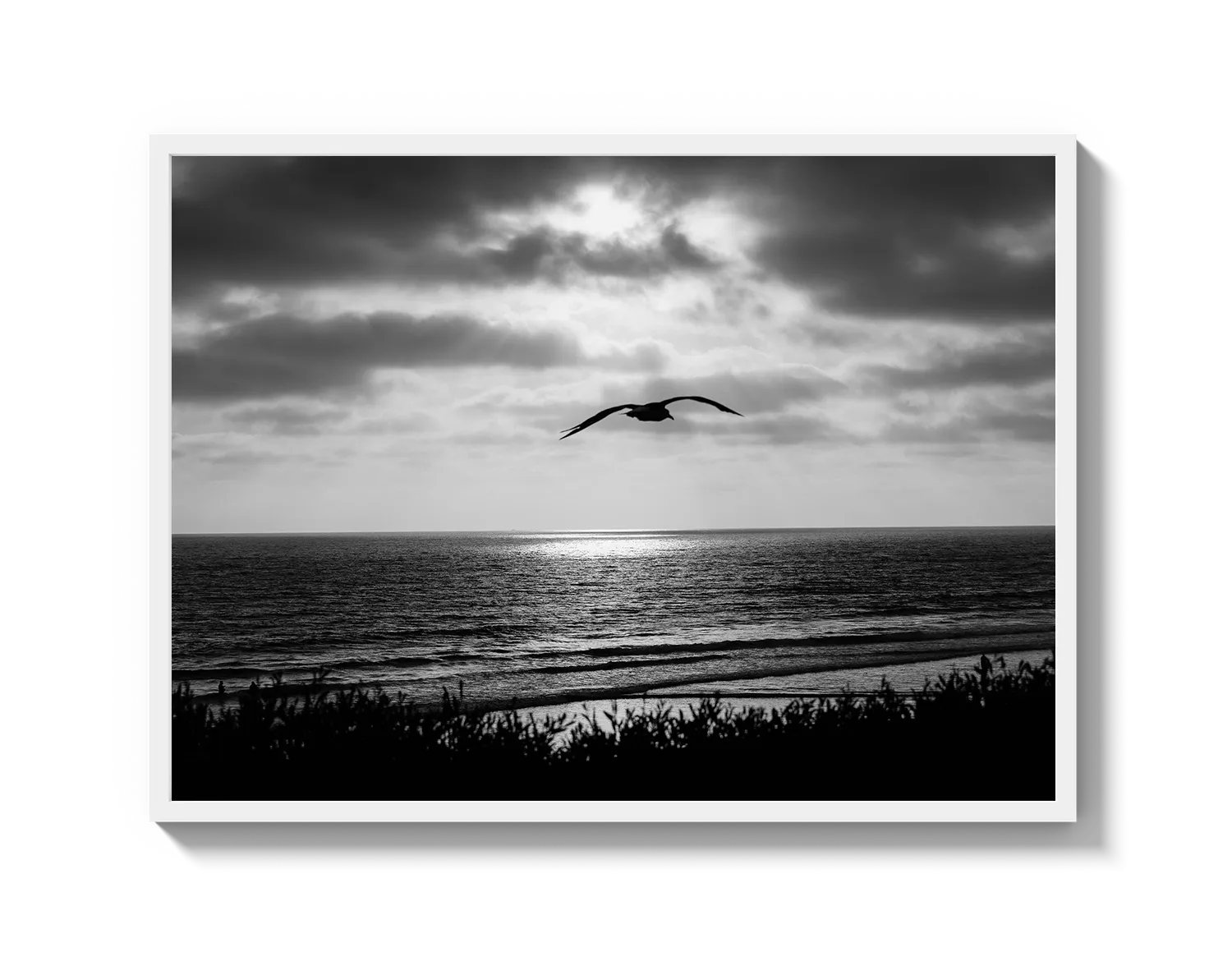 Bird Beach
