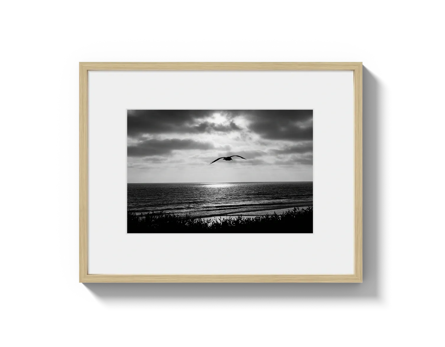 Bird Beach