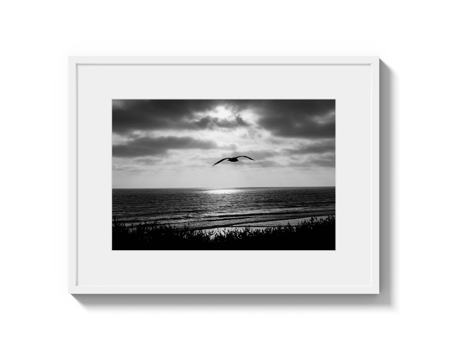 Bird Beach