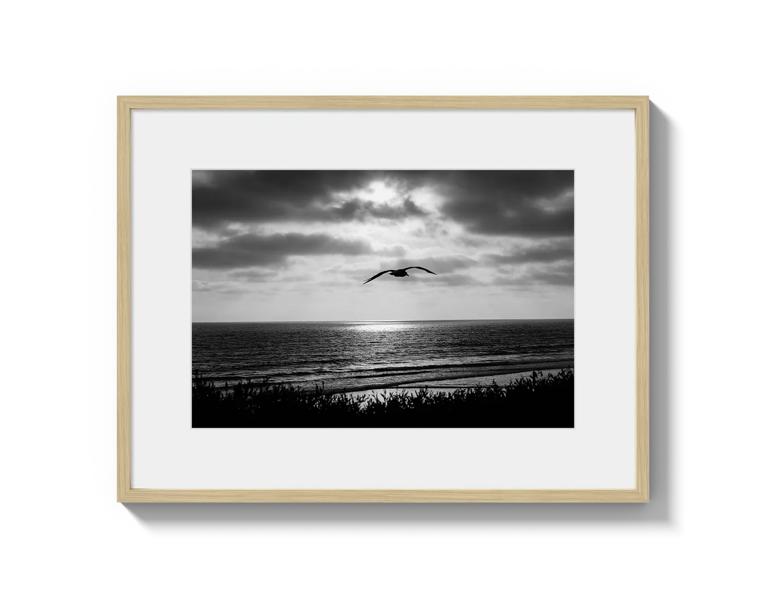 Bird Beach