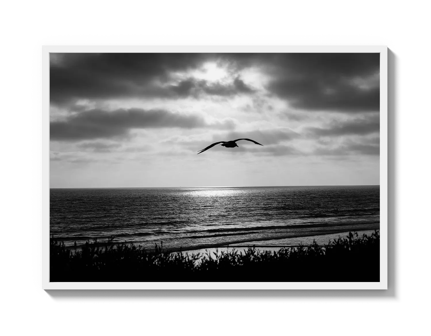 Bird Beach