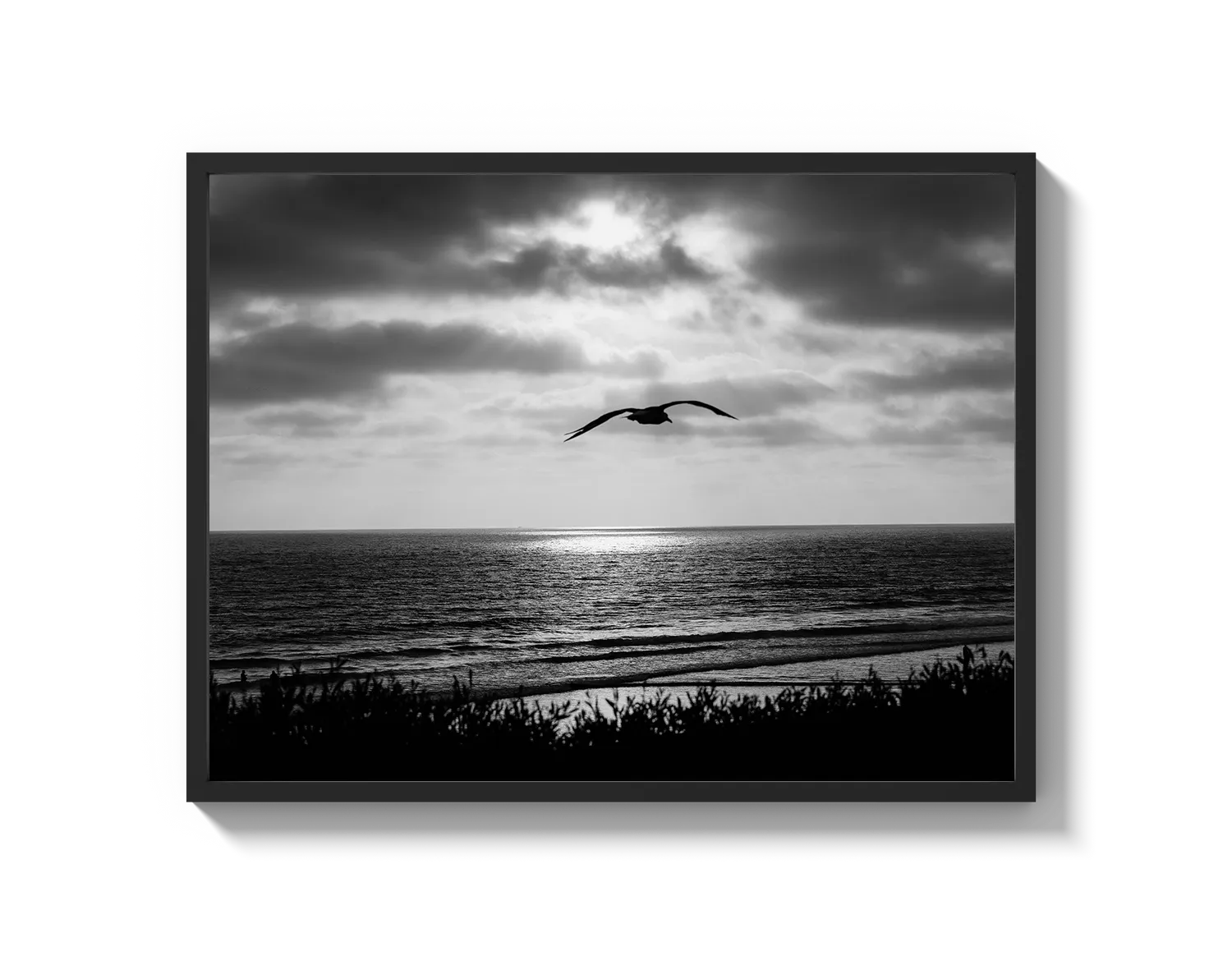 Bird Beach
