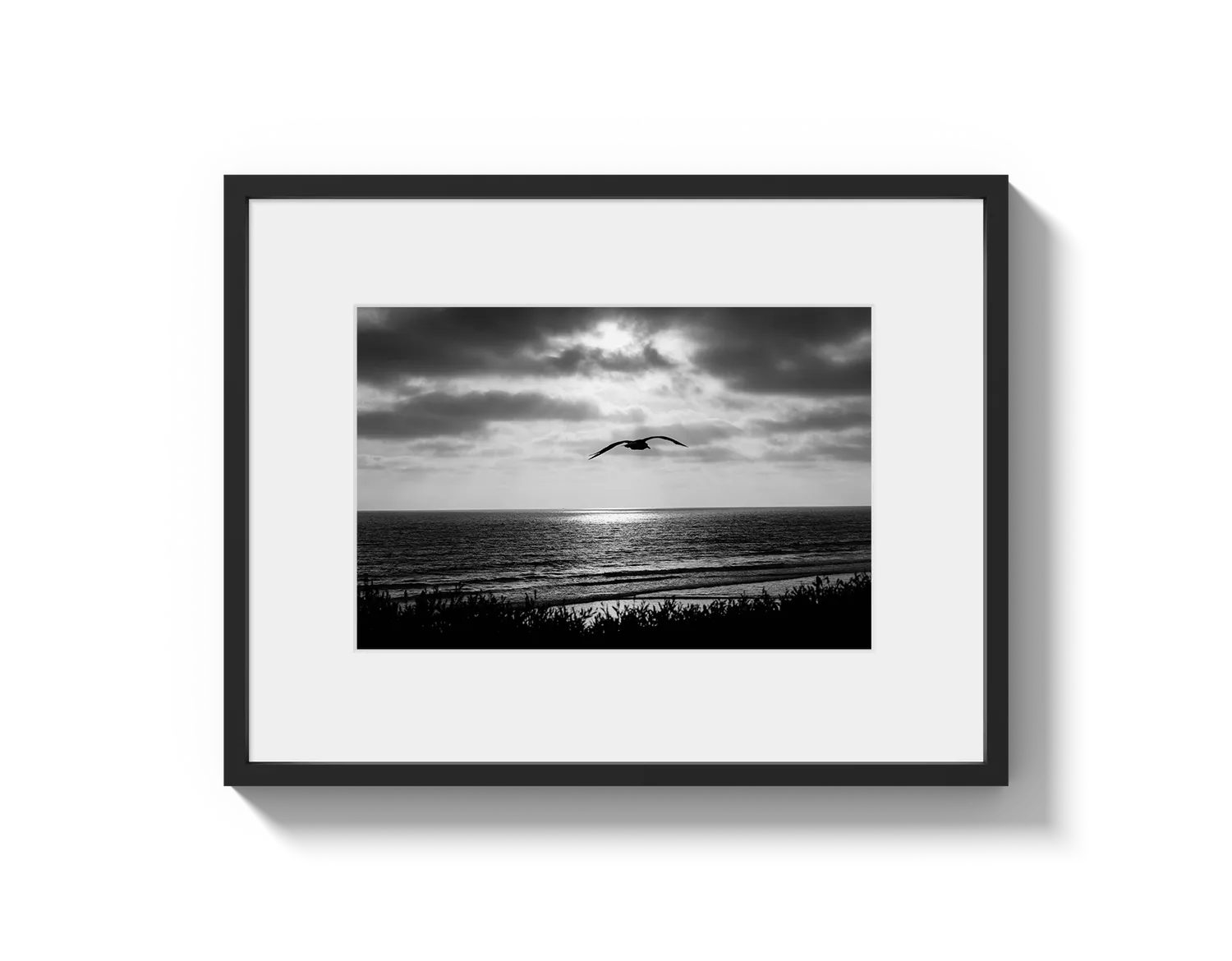 Bird Beach