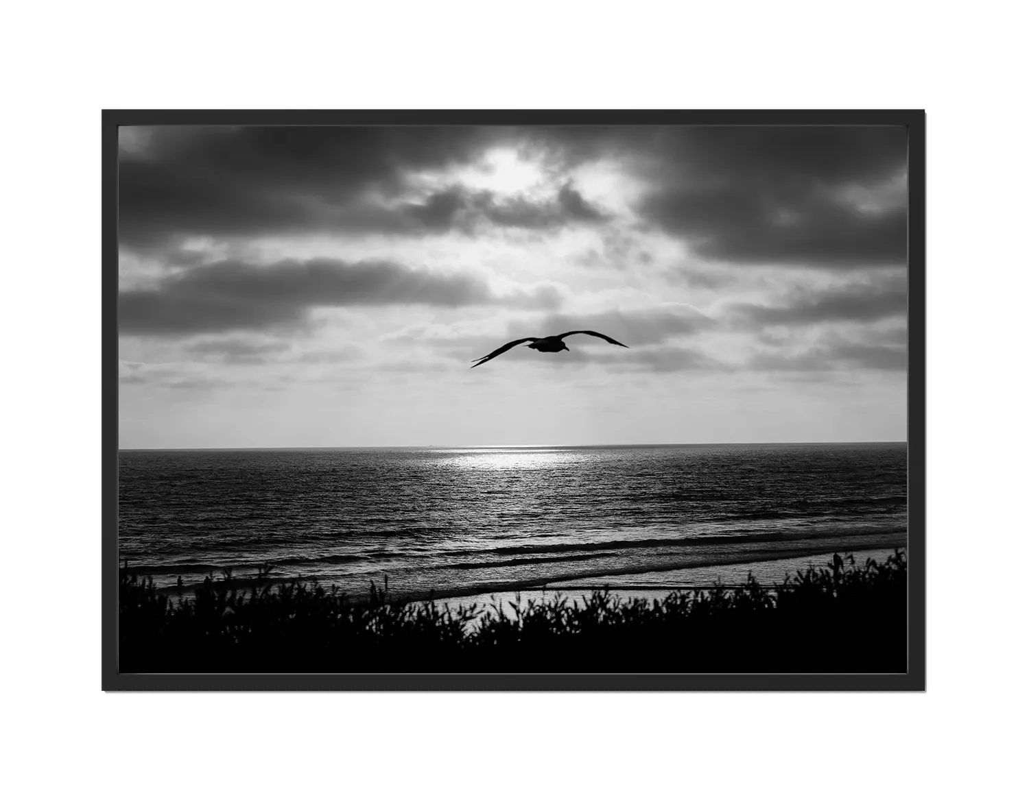 Bird Beach