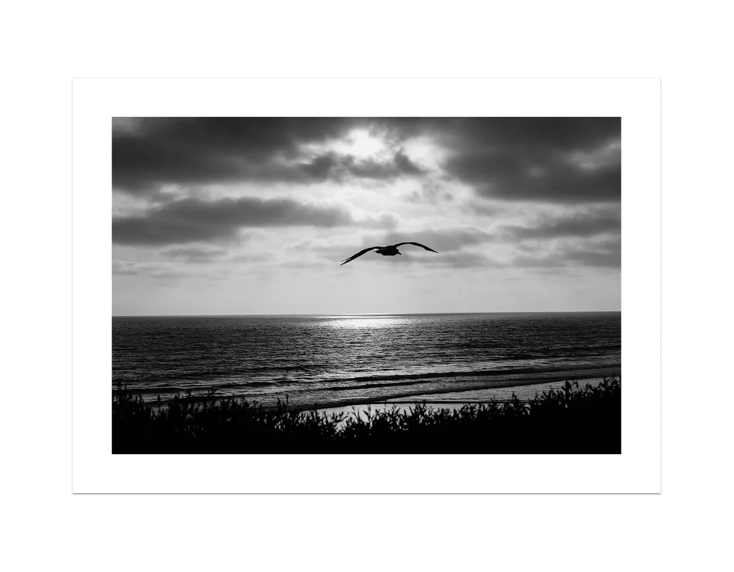 Bird Beach