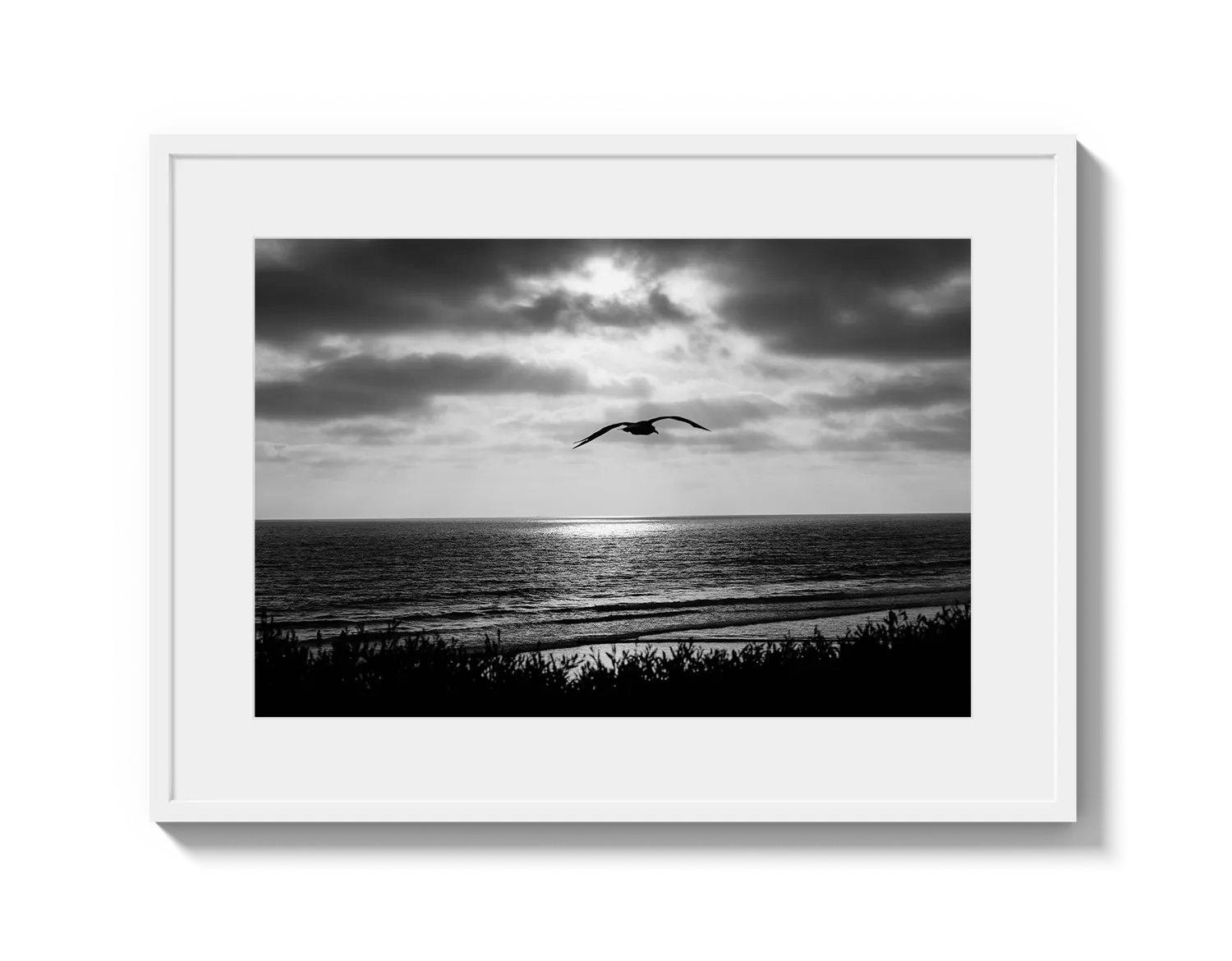 Bird Beach