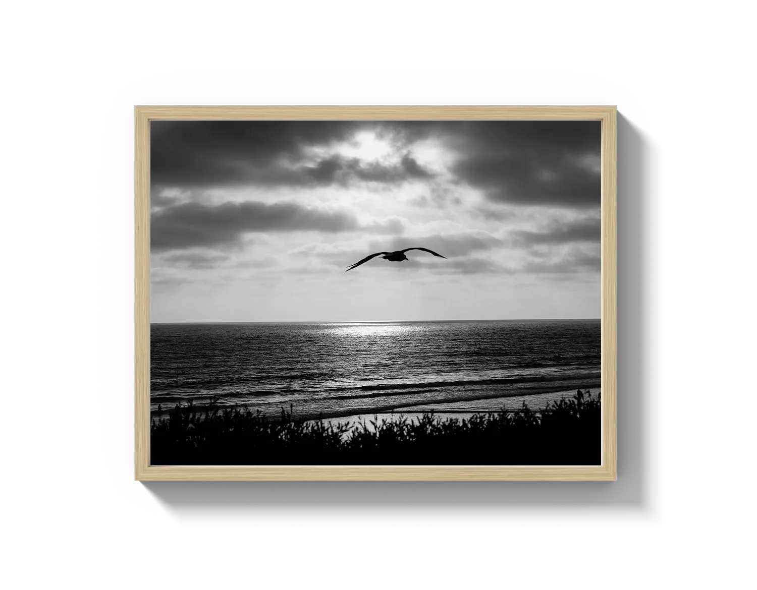 Bird Beach