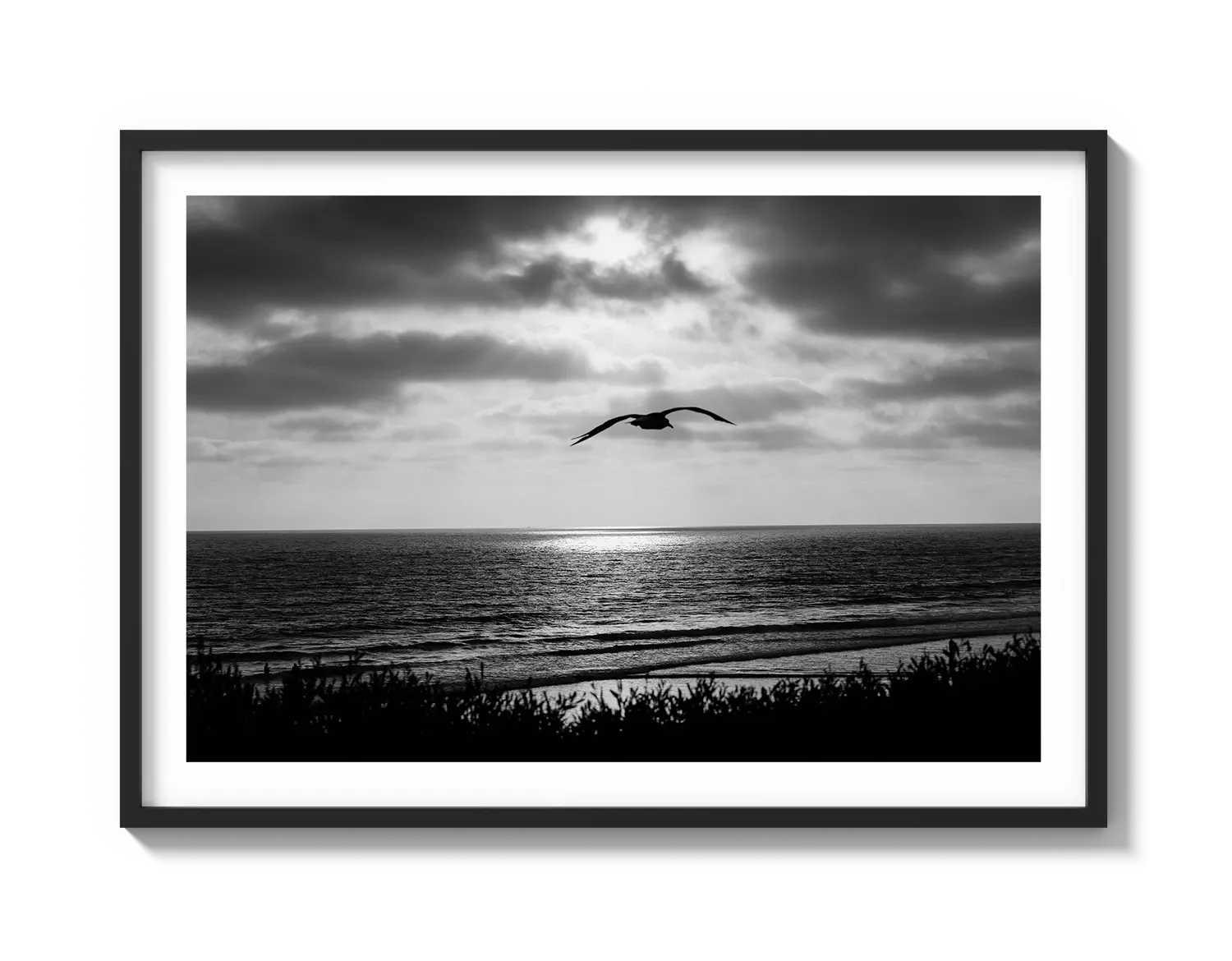 Bird Beach