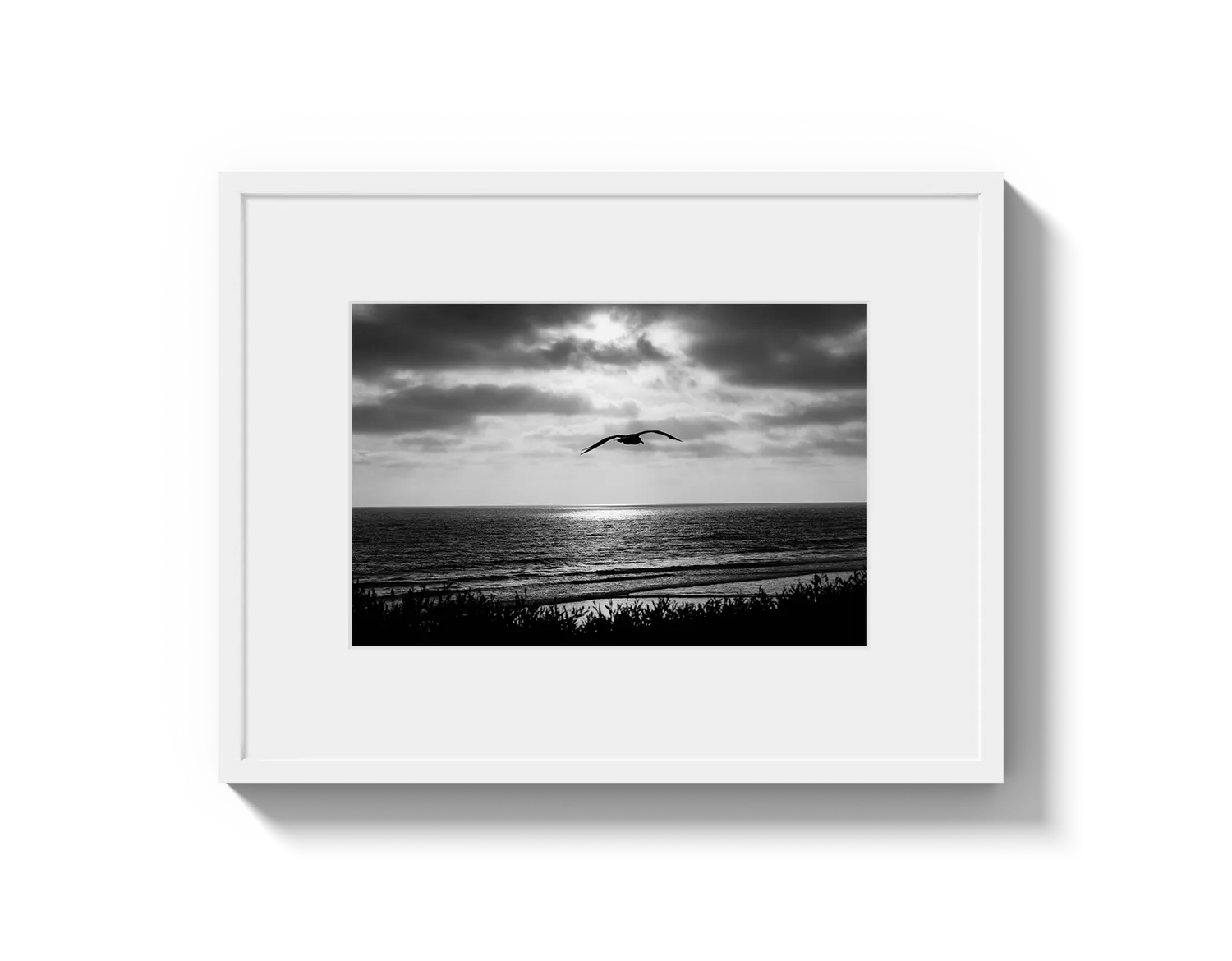 Bird Beach