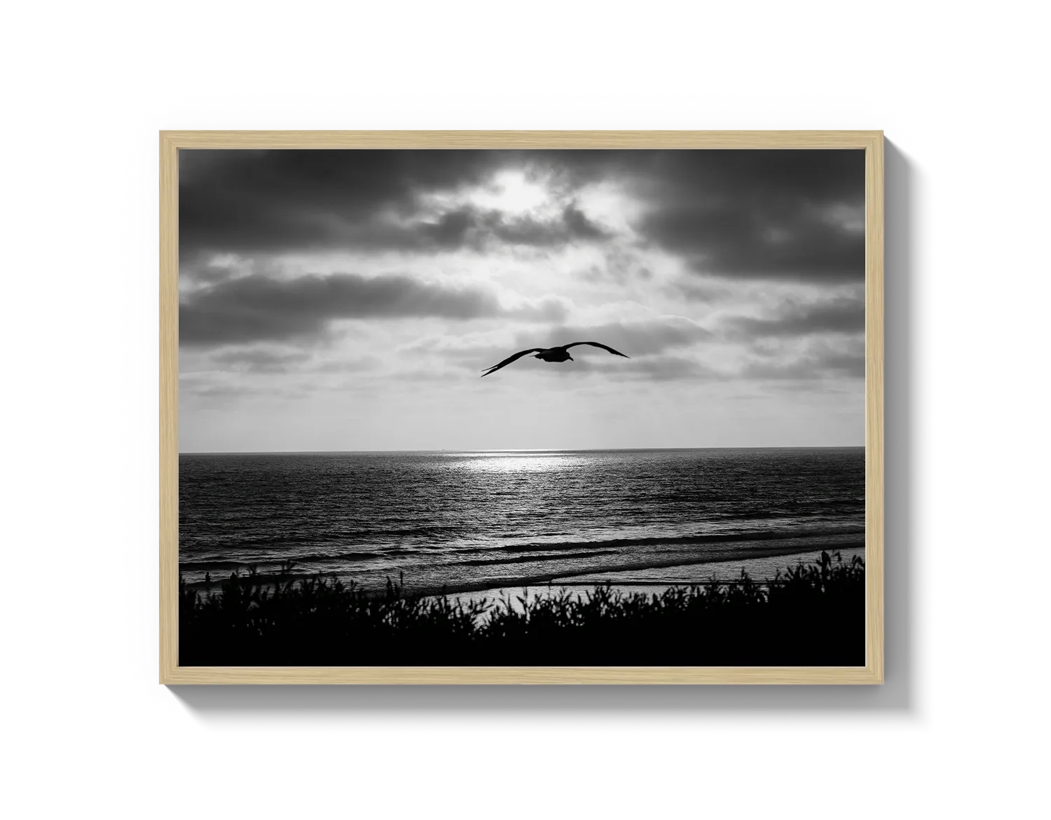 Bird Beach