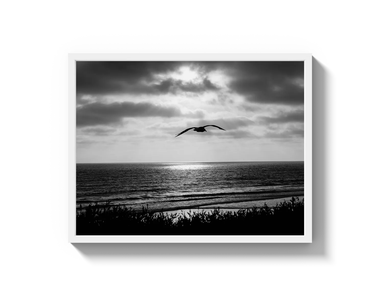 Bird Beach