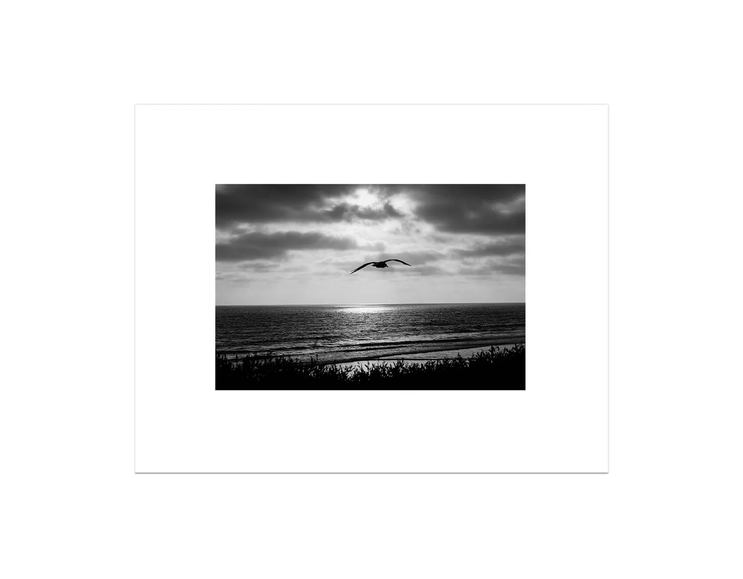 Bird Beach