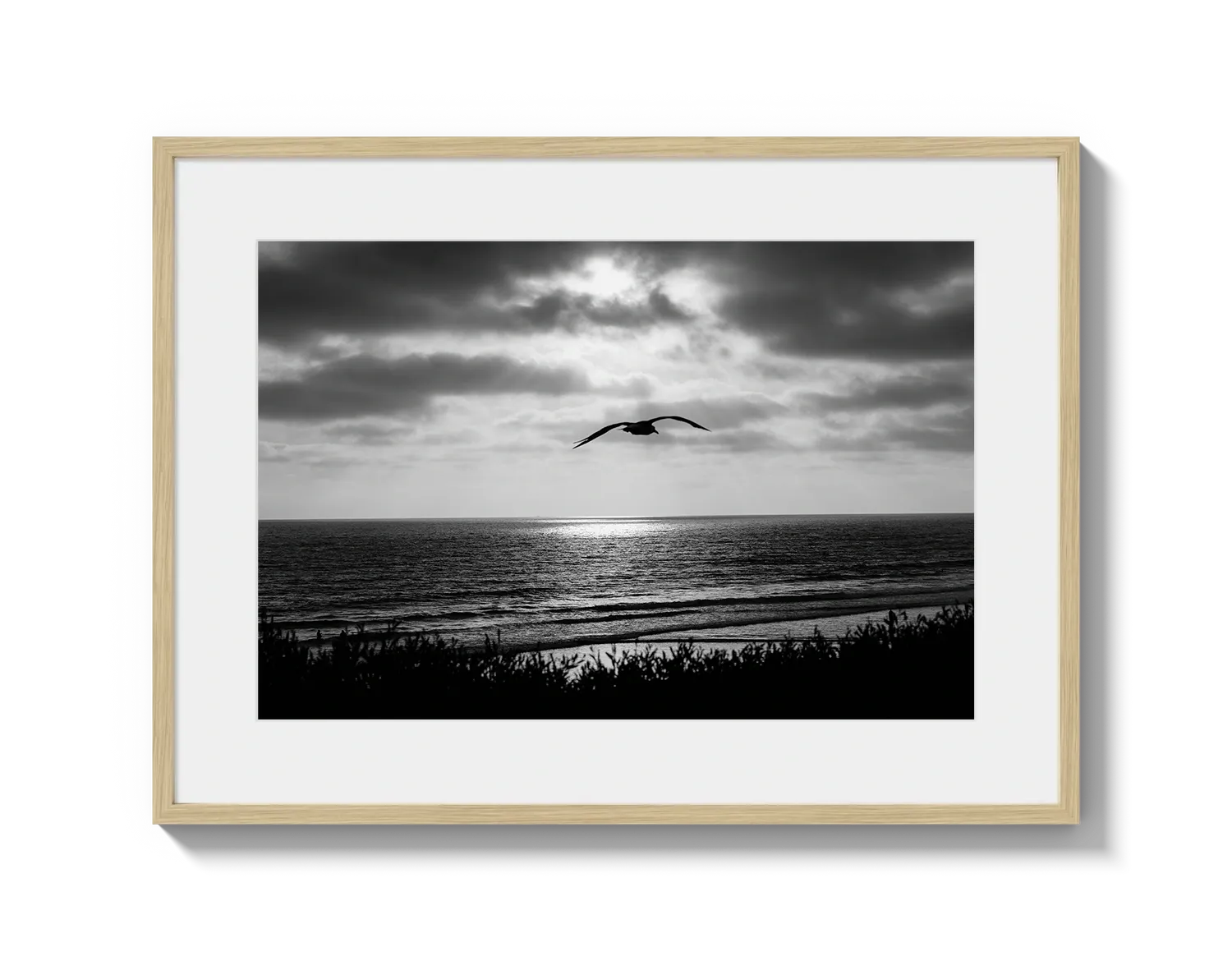 Bird Beach