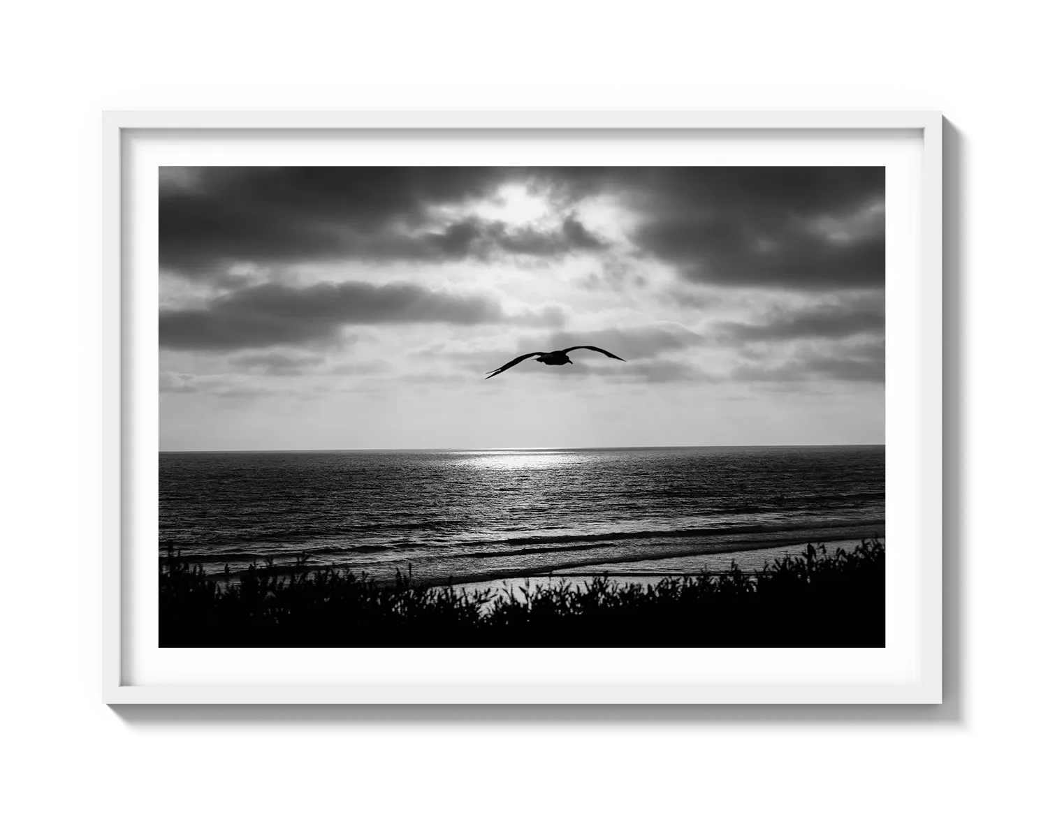 Bird Beach