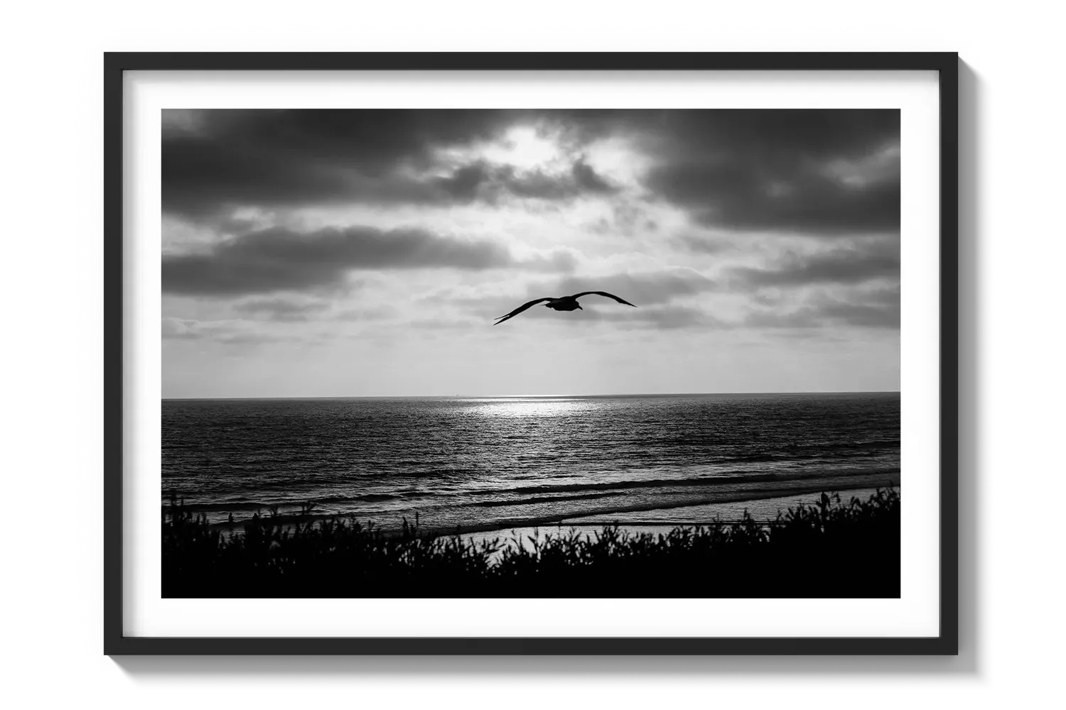 Bird Beach