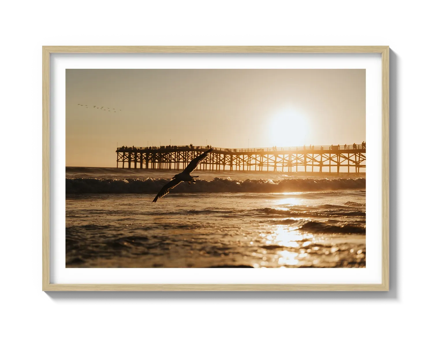 Beach Bird 2