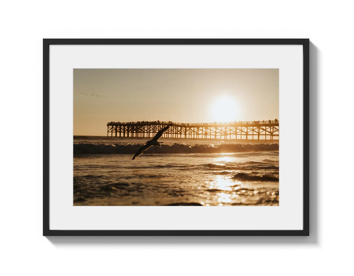 Beach Bird 2