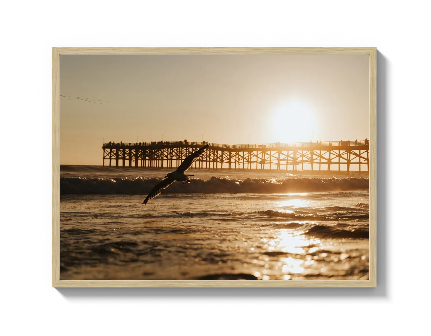 Beach Bird 2