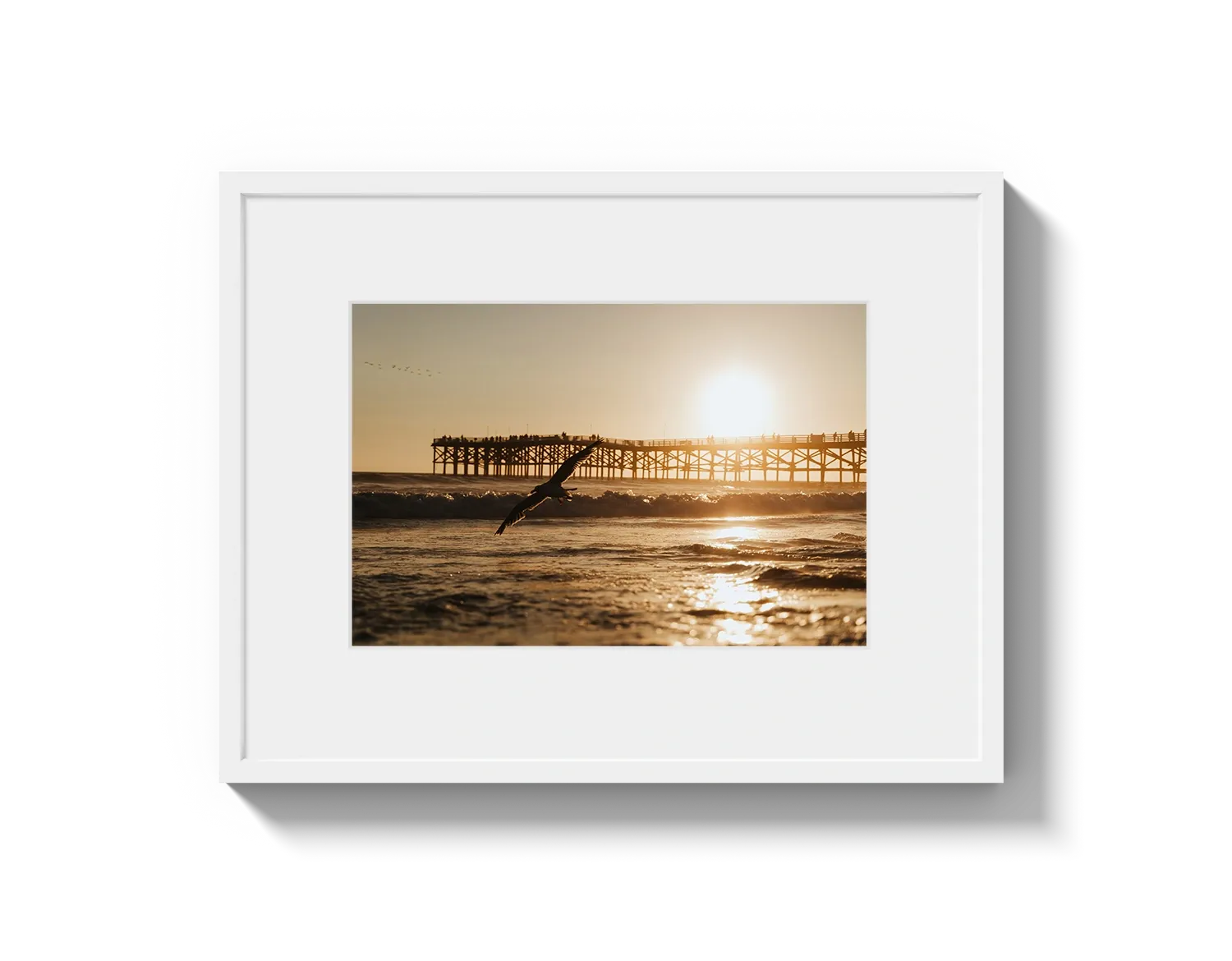 Beach Bird 2