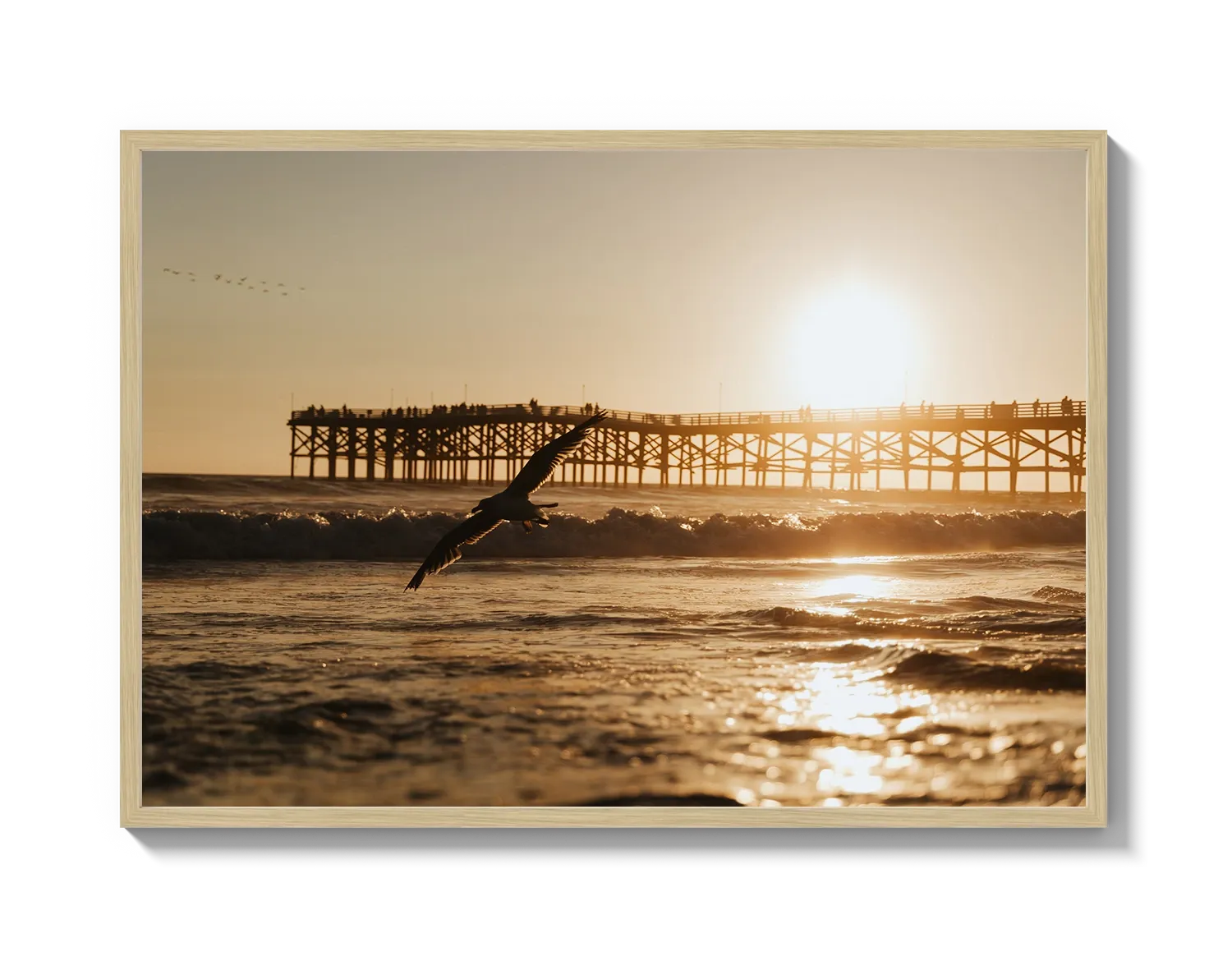 Beach Bird 2