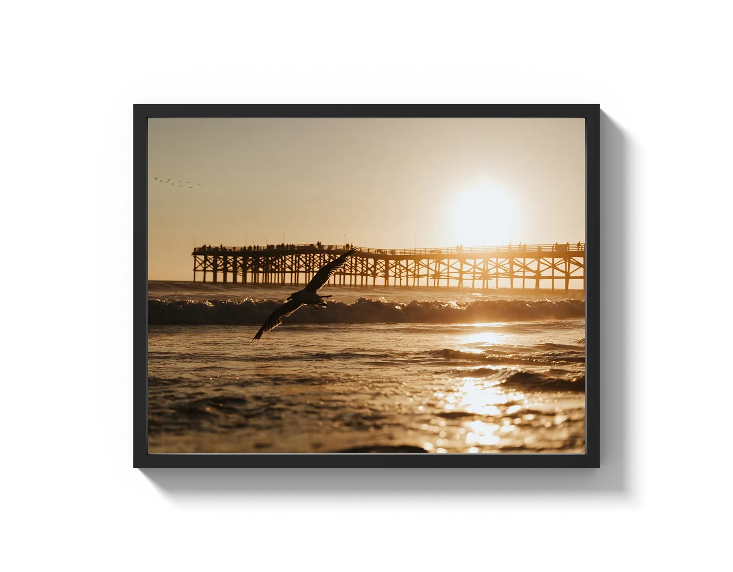 Beach Bird 2