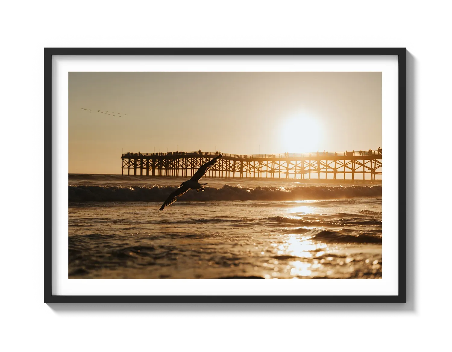 Beach Bird 2