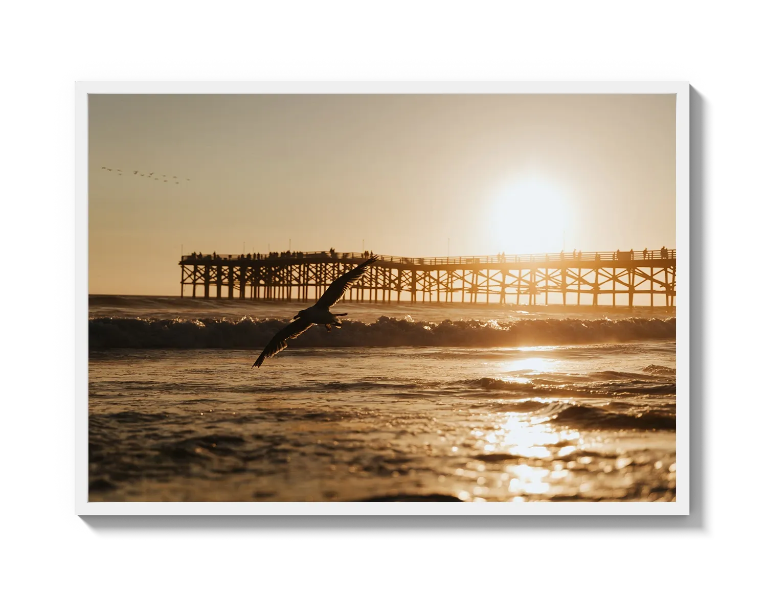 Beach Bird 2