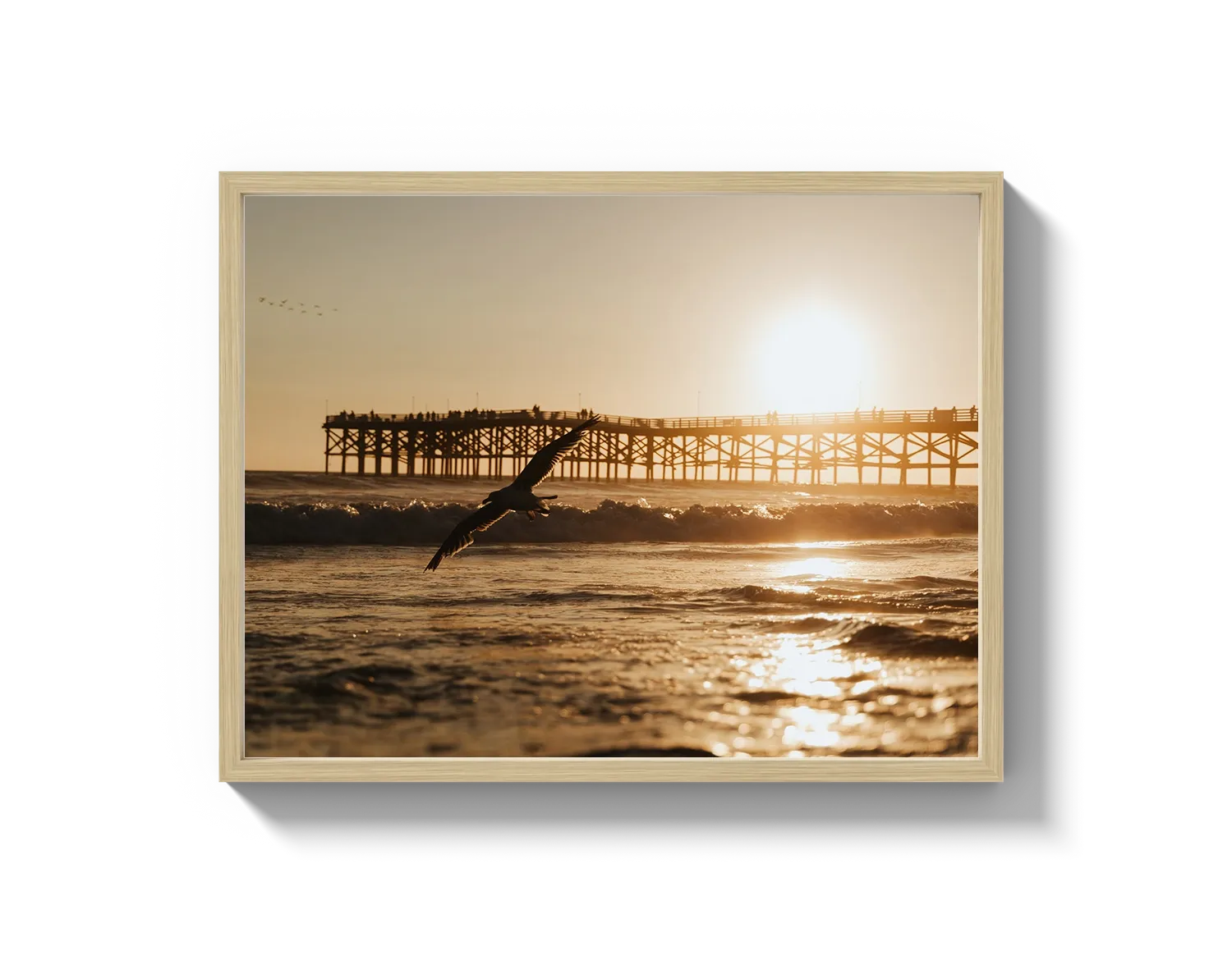 Beach Bird 2