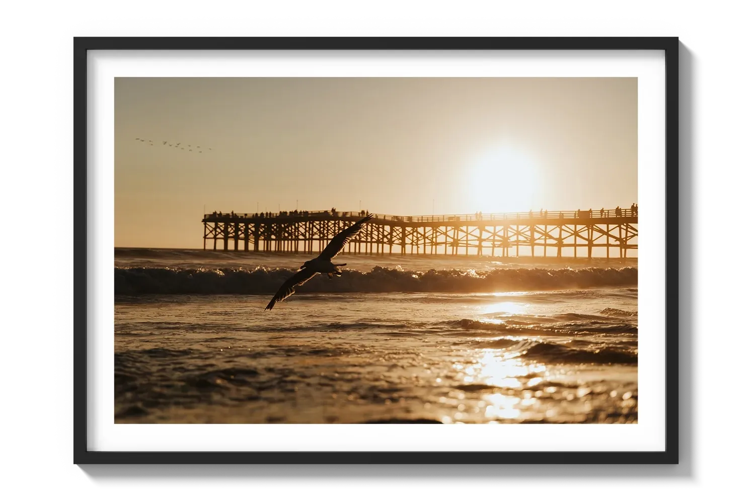 Beach Bird 2