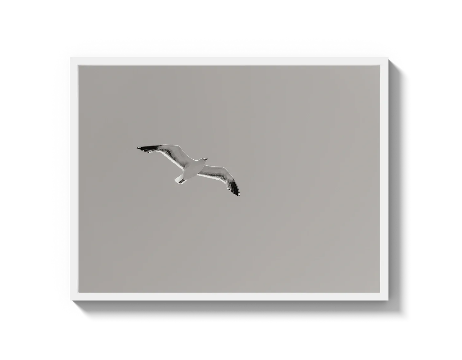 Flying Bird