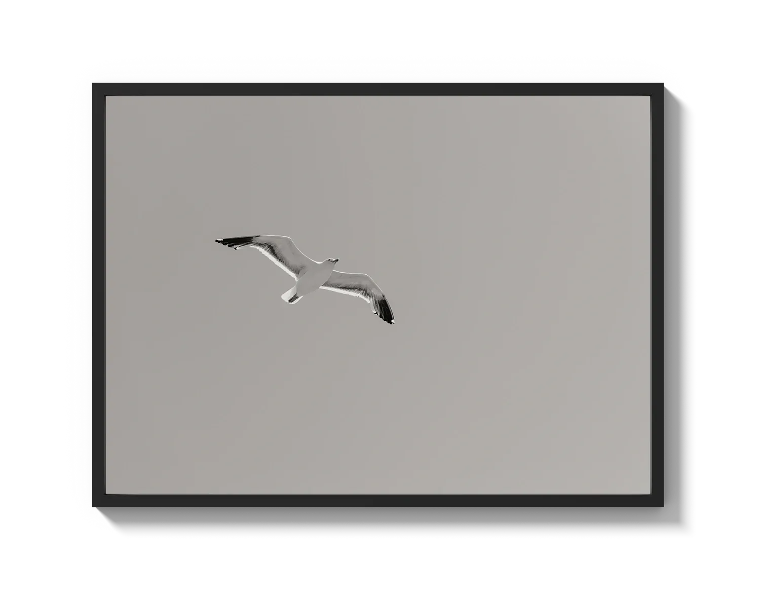 Flying Bird
