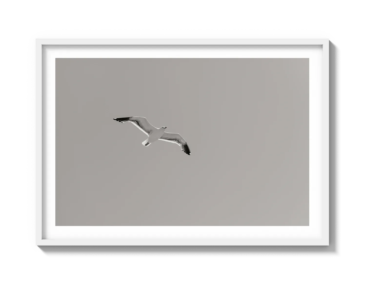 Flying Bird