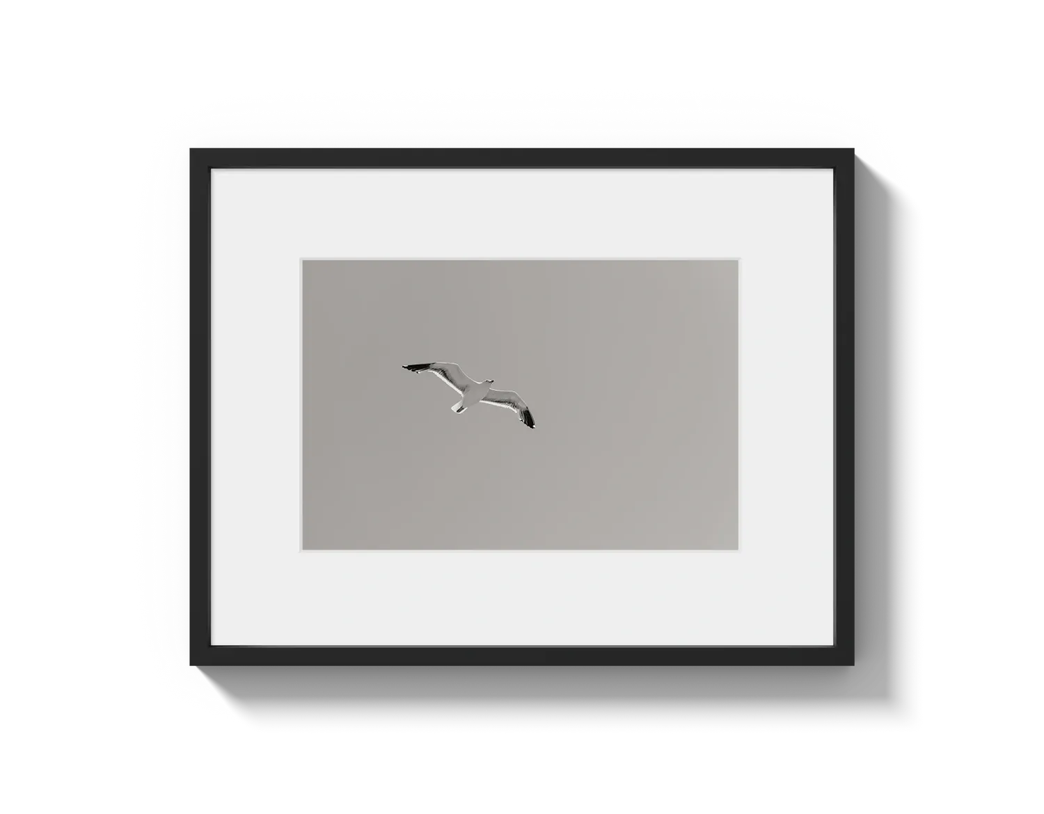 Flying Bird