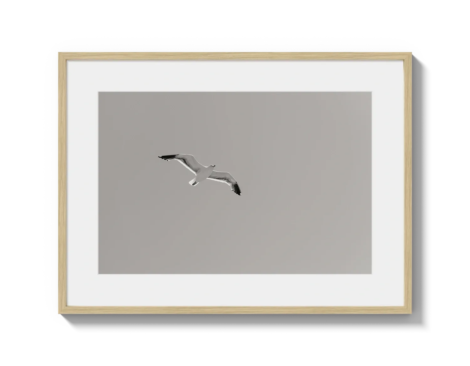 Flying Bird