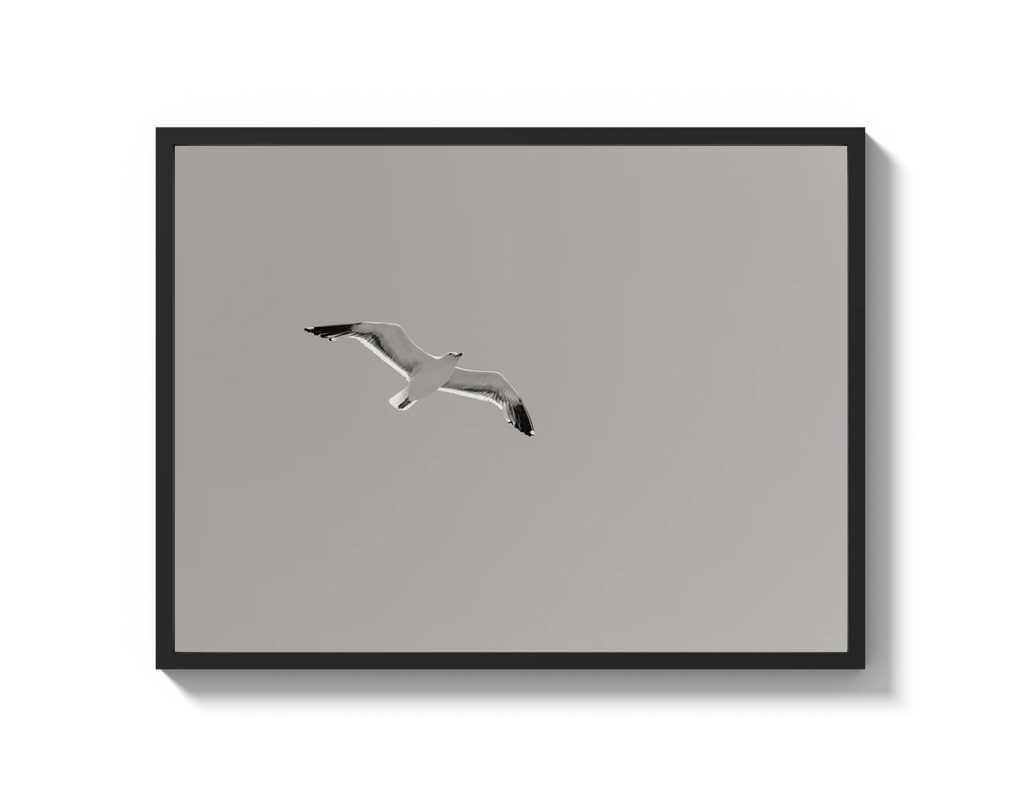 Flying Bird