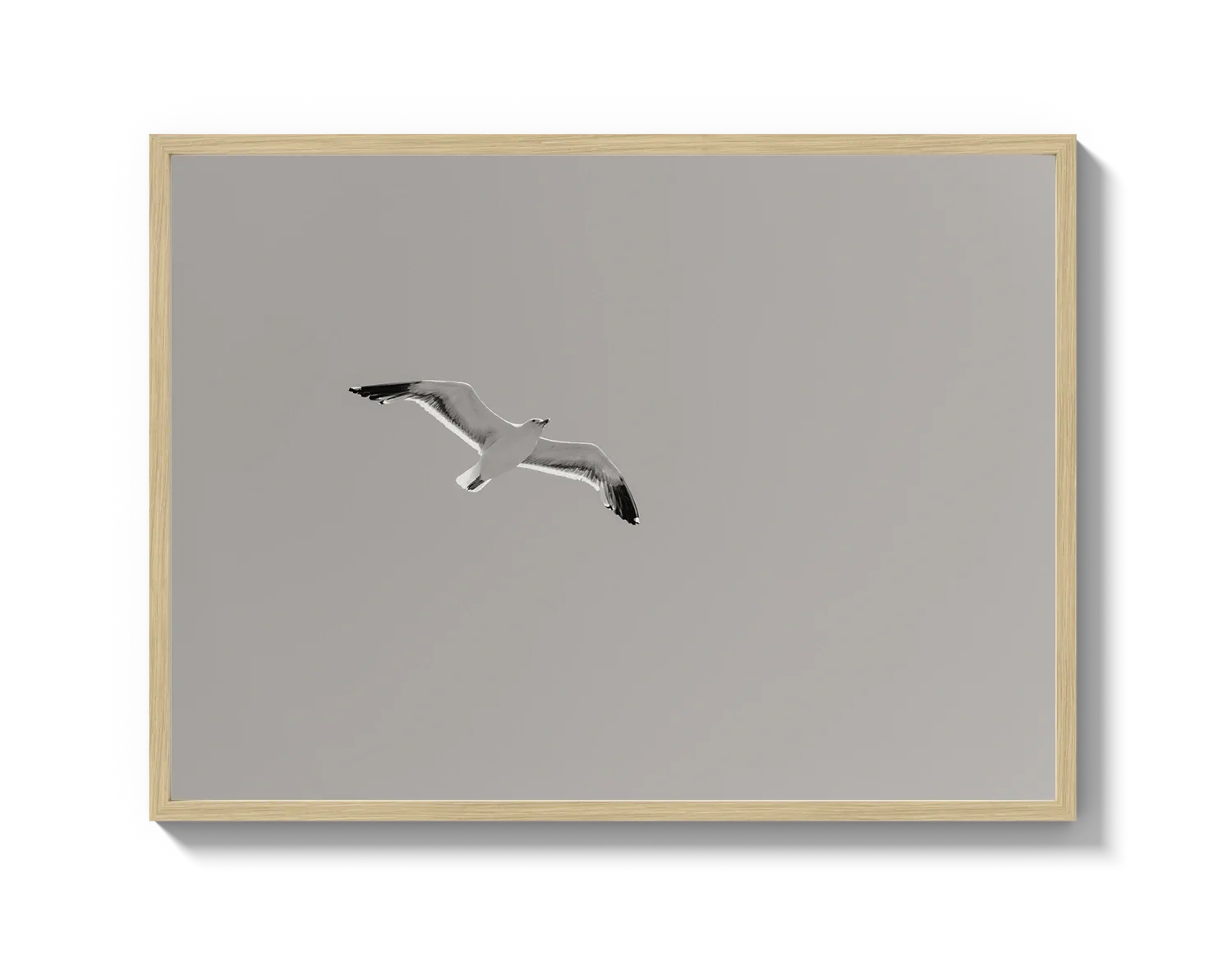 Flying Bird