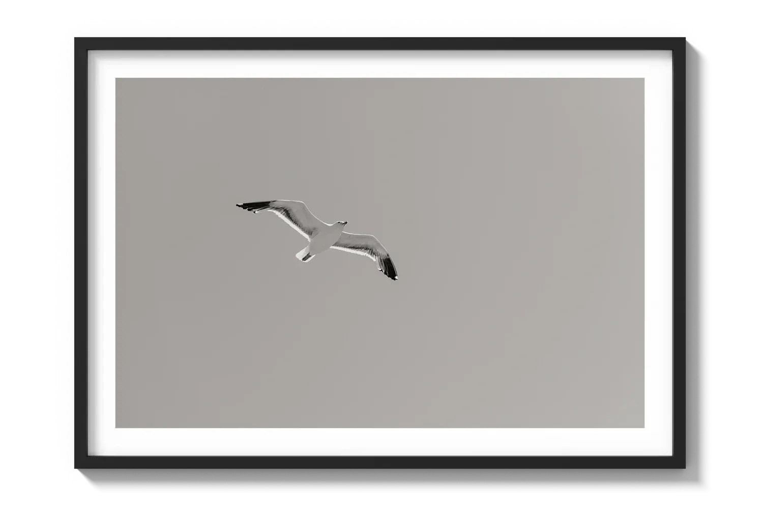 Flying Bird