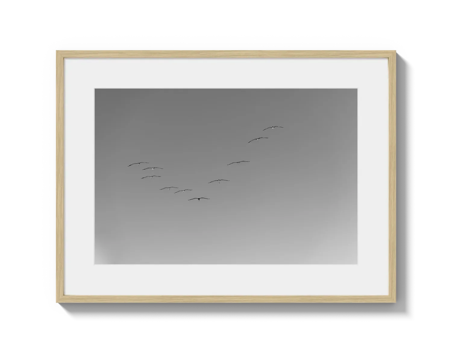 Flying Birds